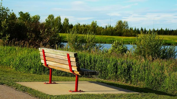 L'Essentiel des Vitamines pour une Grossesse Saine et Épanouie